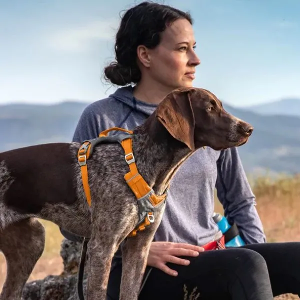 Kurgo Journey Air Harness koirien valjaat, Purple| Valjaat