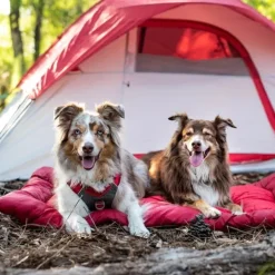 Kurgo Koiranpedit^Wander Bed Loft rullattava koiranpeti, Medium, punainen