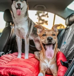 Kurgo Koiranpedit^Wander Bed Loft rullattava koiranpeti, Medium, punainen