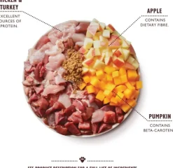 Lilyu0027s Kitchen Koiran Märkäruoka^Lily's Kitchen Halloween Dog Wet märkäruoka, 400 g