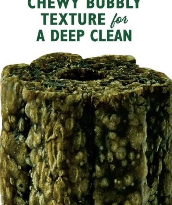 Lilyu0027s Kitchen Lily's Kitchen Woofbrush Dental Care Large Multipack hammashoitoherkku, 7 x 47 g| Makupalat