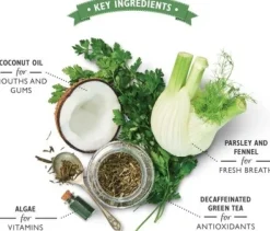 Lilyu0027s Kitchen Lily's Kitchen Woofbrush Dental Care Large Multipack hammashoitoherkku, 7 x 47 g| Makupalat