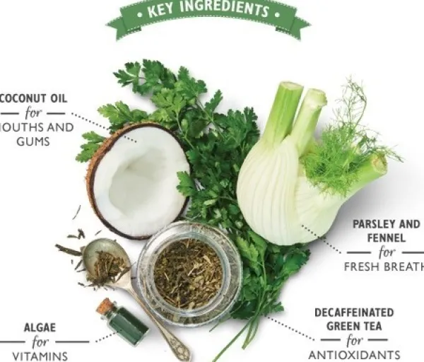 Lilyu0027s Kitchen Lily's Kitchen Woofbrush Dental Care Large Multipack hammashoitoherkku, 7 x 47 g| Makupalat