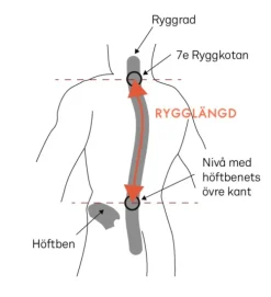 Lundhags Saruk Pro 60 L Regular Short rinkka, maastonvihreä| Reput Ja Rinkat