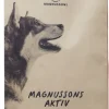 Magnusson Petfood Koiran Kuivaruoka^Magnusson Aktiv 14 kg