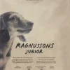 Magnusson Petfood Koiran Kuivaruoka^Magnussons Junior 4,5 kg
