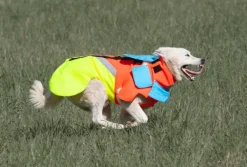 Mikael Tham Tuskproof Boar v.5 suojaliivi, XS, Orange| Koiran Metsästys- Ja Suojaliivit