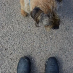 Muck Boot Excursion Ankle Unisex Musta| Saappaat