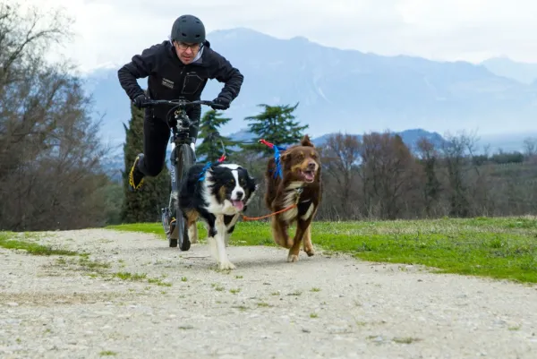 Neewa Adjustable vetovaljaat musta| Juoksu- Ja Pyöräilytaluttimet
