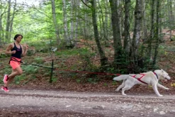 Neewa Racing Tug Line med Bungee 2,3m| Juoksu- Ja Pyöräilytaluttimet