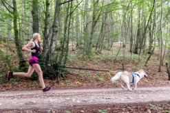 Neewa säädettävät vetovaljaat, sininen| Valjaat