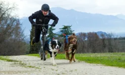 Neewa säädettävät vetovaljaat, sininen| Valjaat