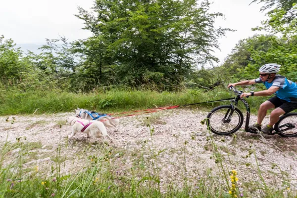 Neewa Sled Pro vetovaljaat, sininen| Valjaat