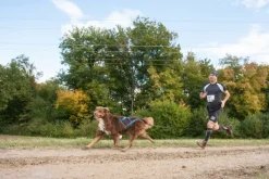 Neewa Sled Pro vetovaljaat, sininen| Valjaat