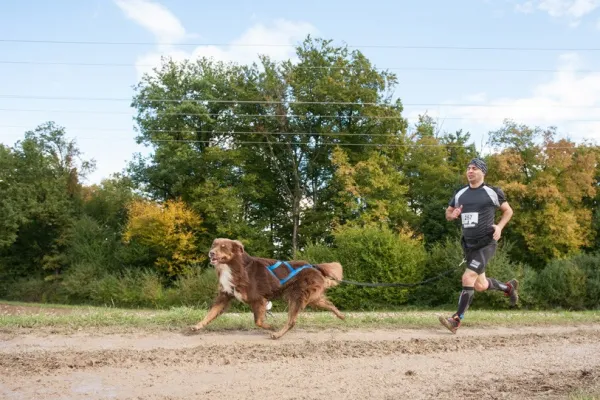 Neewa Sled Pro vetovaljaat, sininen| Valjaat