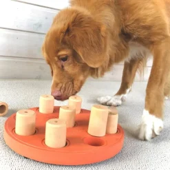 Nina Ottosson Aktivointilelut^Dog Smart Komposit Orange