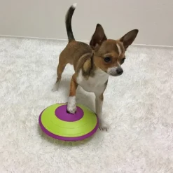 Nina Ottosson Dog Treat Maze| Aktivointilelut