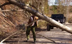 Nordic Pocket Saw Sahat^Orange