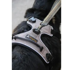 OllyDog Alpine -heijastavat valjaat, ruskea| Valjaat