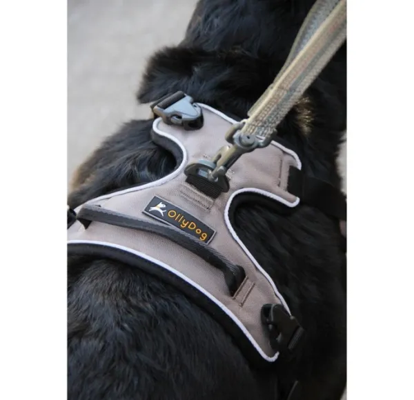 OllyDog Alpine -heijastavat valjaat, ruskea| Valjaat