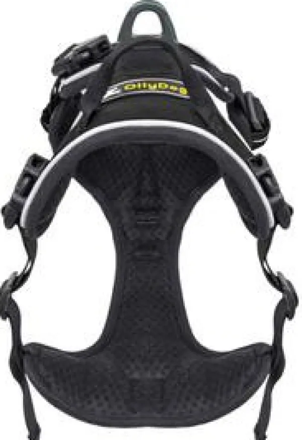 OllyDog Valjaat^Alpine Reflective Harness Raven