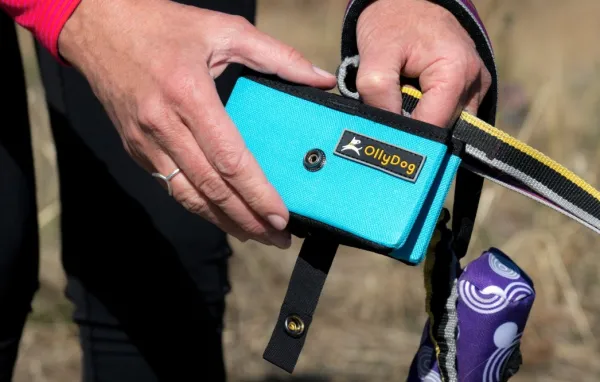 OllyDog Koirankupit^Crumple Travel Bowl Atlantic