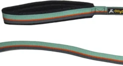 OllyDog Taluttimet^Flagstaff Adjustable Spring Leash Surf