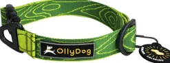 OllyDog Flagstaff Collar Sage Bark| Kaulapannat
