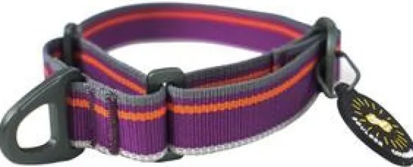 OllyDog Kaulapannat^Martingale Mesa Collar Wild Aster