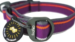OllyDog Kaulapannat^Martingale Mesa Collar Wild Aster