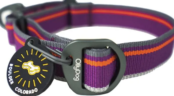 OllyDog Kaulapannat^Martingale Mesa Collar Wild Aster