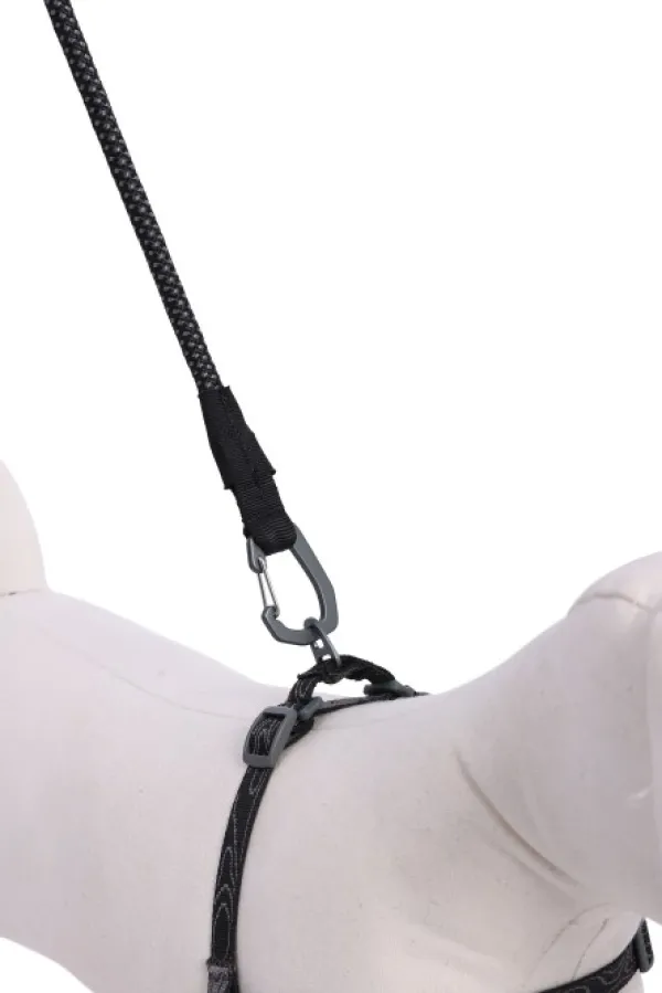 OllyDog Mountain Leash talutin, musta| Taluttimet