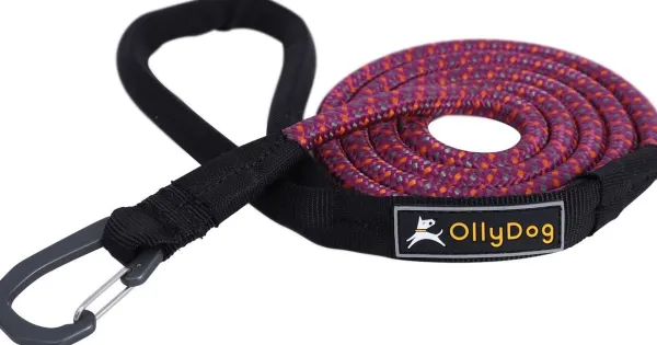 OllyDog Taluttimet^Mountain Leash talutin, violetti