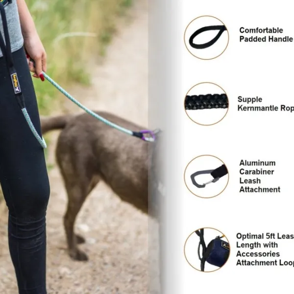 OllyDog Taluttimet^Mountain Leash talutin, violetti