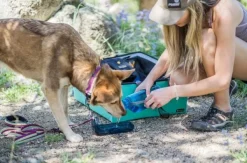 OllyDog Koiranomistajan Tarvikkeet^OllyBottle Grass 600 ml