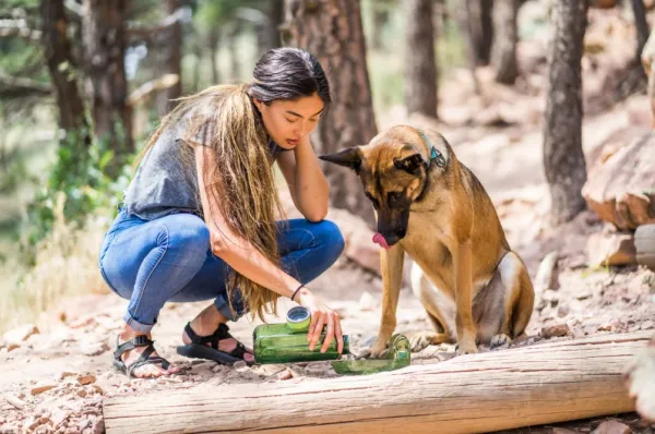 OllyDog Koiranomistajan Tarvikkeet^OllyBottle Grass 600 ml