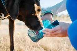 OllyDog Koiranomistajan Tarvikkeet^OllyBottle Grass 600 ml