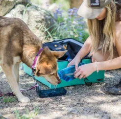 OllyDog Koiranomistajan Tarvikkeet^OllyBottle juomapullo, sininen, 600 ml