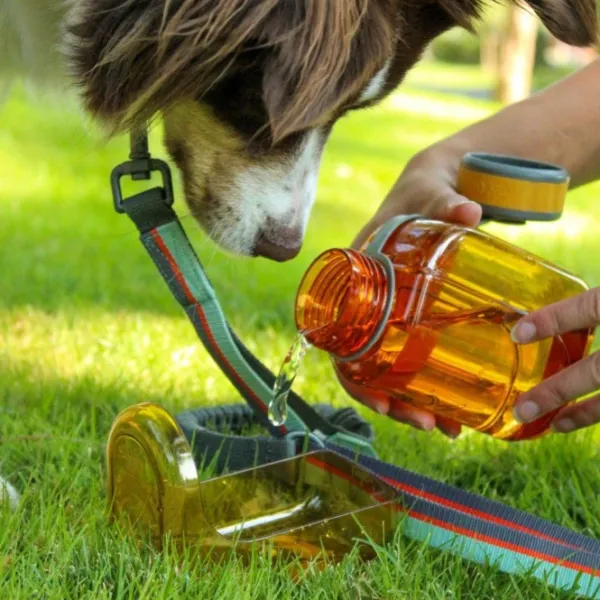 OllyDog Kuljetushäkit Ja Matkustustarvikkeet^OllyBottle koiran matkajuomapullo, harmaa, 600 ml