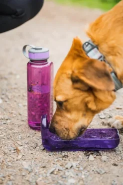 OllyDog Kuljetushäkit Ja Matkustustarvikkeet^OllyBottle koirien matkajuomapullo, harmaa,1L