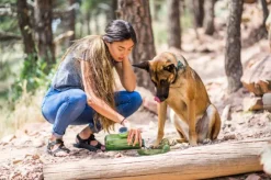 OllyDog OllyBottle Plum 600 ml| Koiranomistajan Tarvikkeet