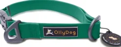 OllyDog Kaulapannat^Tilden Collar kaulapanta, vihreä