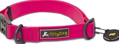 OllyDog Kaulapannat^Tilden Collar kaulapanta, pinkki