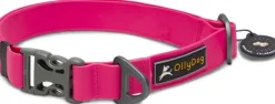 OllyDog Kaulapannat^Tilden Collar kaulapanta, pinkki