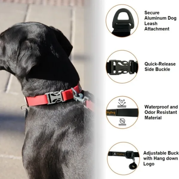 OllyDog Kaulapannat^Tilden Collar kaulapanta, pinkki