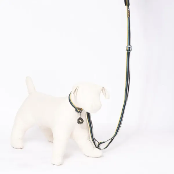 OllyDog Taluttimet^Urban Trail Adjustable Leash talutin, musta