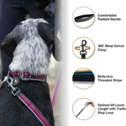 OllyDog Taluttimet^Urban Trail Adjustable Leash talutin, musta