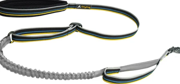 OllyDog Taluttimet^Urban Trail Adjustable Spring Leash Anthracite