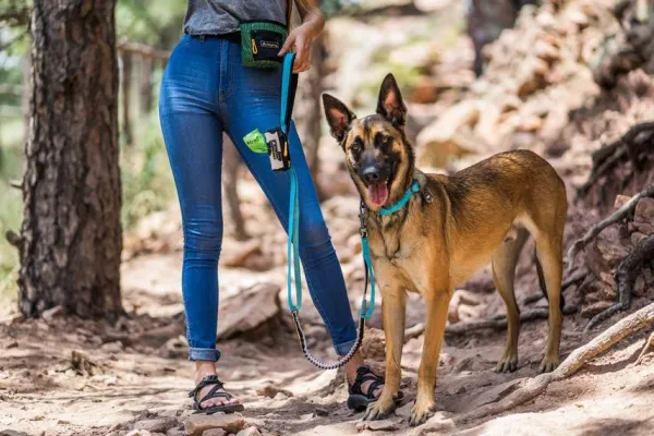 OllyDog Taluttimet^Urban Trail Adjustable Spring Leash Anthracite