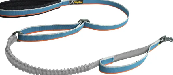 OllyDog Urban Trail Adjustable Spring Leash Air Blue| Taluttimet